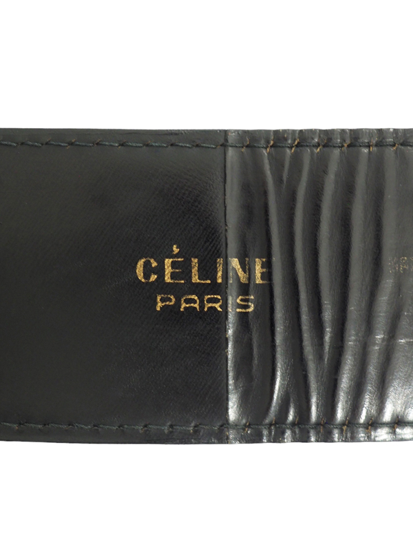 1970s Celine _5