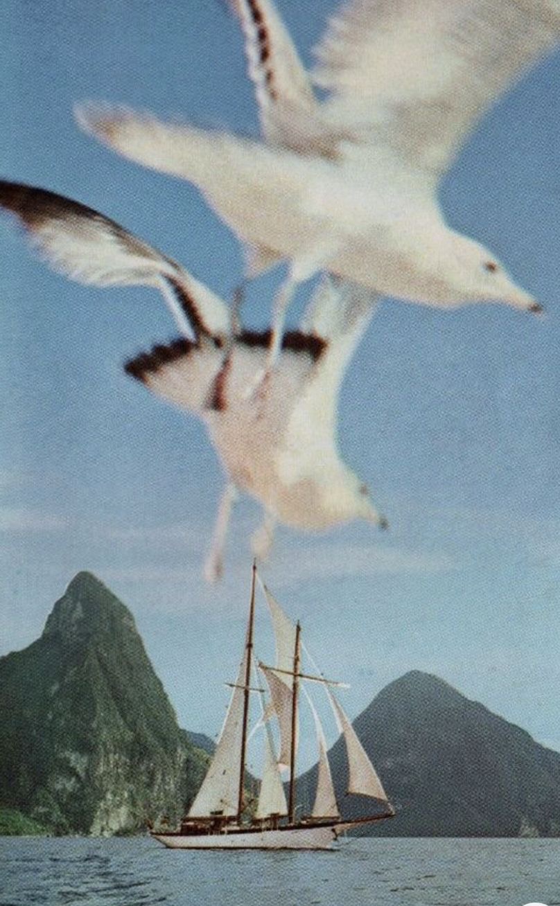 1970s Kenneth Jay Lane_9